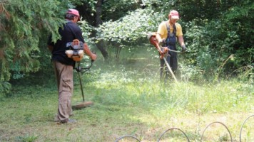 Акција чишћења Гамзиградске Бање