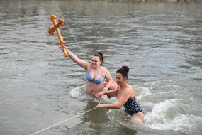 Пливање за Часни крст у Зајечару: Бог се јави! 