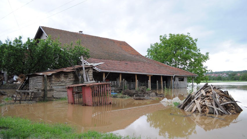 Након поплава следе дезинфекција и дератизација
