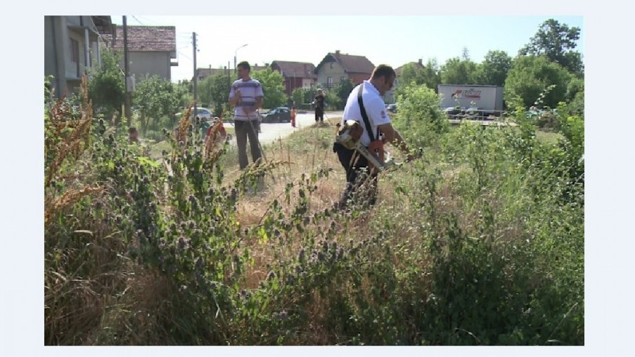 Чисти се јаруга у зајечарском насељу Подлив