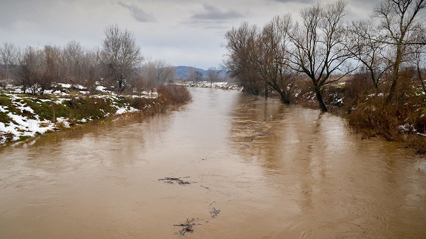 Оба Тимока изнад редовне линије одбране од поплава