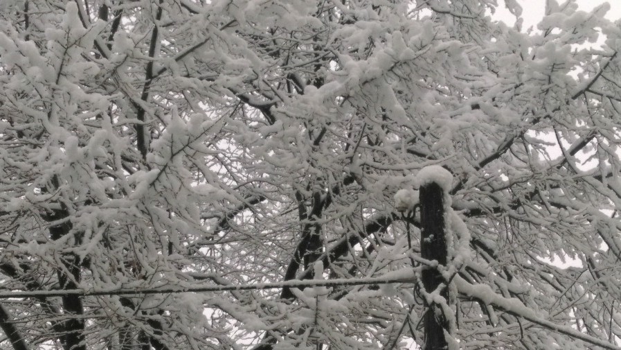 Квар на далеководу - салашки крај без струје