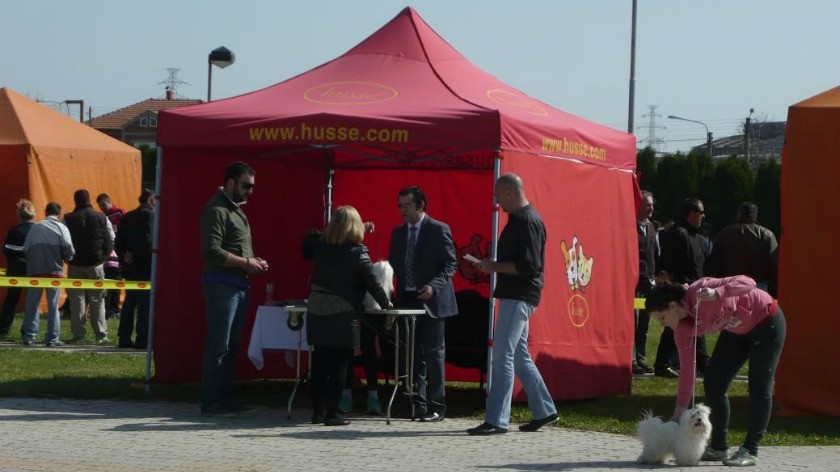 На изложби у Зајечару чак 78 раса паса