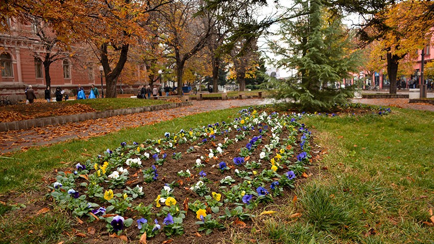 Уређење зелених површина у граду